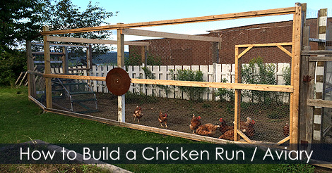 How to build chicken run