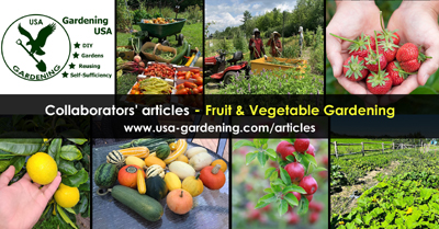 Fruit and vegetable gardening