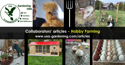 Hobby farming and smallholding articles