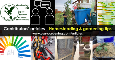 Homesteading and Self-Sufficiency articles