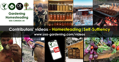 Homesteading and Self-Sufficiency
