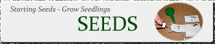 USA Seeds - Improving germination tips - Starting seeds indoors