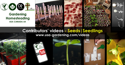 Seeds and seedlings