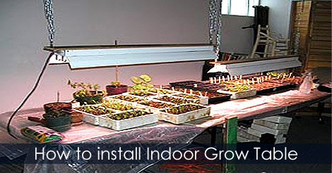 Indoor grow table and grow lights set up - Starting seeds indoors in winter