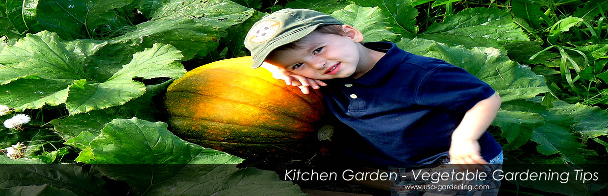 Edible Garden tips - USA Kitchen Gardening - Vegetable Gardening - Growing a kitchen garden