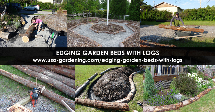 Logs for edging