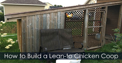 How to build Lean-to chicken Coop - Urban chicken coops designs