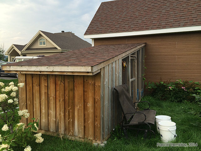 Pitched roof on chicken coop - Hen coop design - Chicken coop features - American Chicken coop