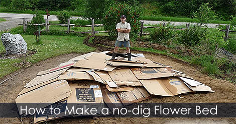How to make a no-dig flower bed - Cardboard Flower Bed Idea - How to kill grass lawn