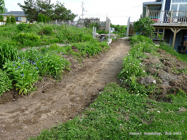 Small Garden path - Garden Walkway - Garden Pathway - Build Pathways