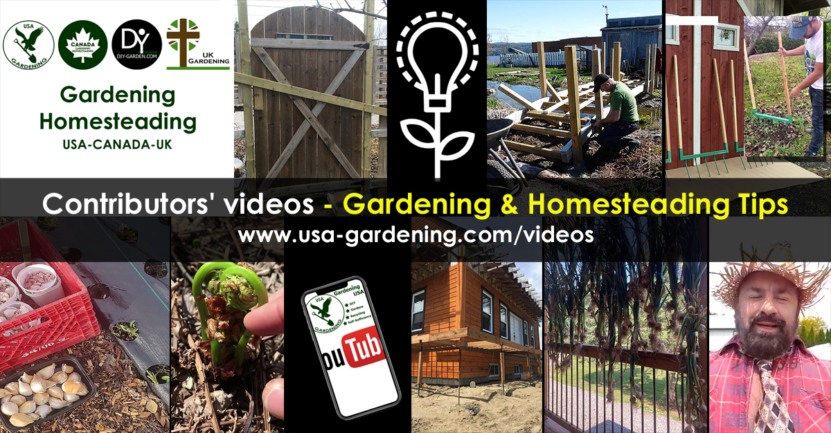 Homesteading