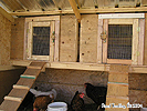 Build Hen House - Chicken coop DIY Ideas