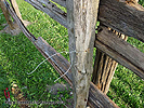 Build Split Rail Fence DIY Ideas - DIY Rustic fence