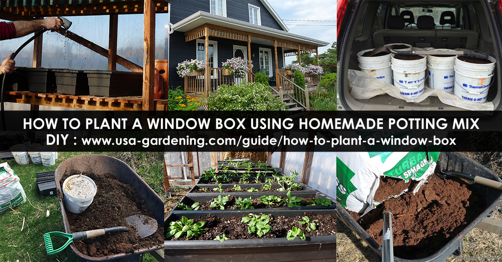Planting window box