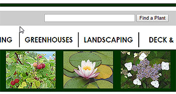Plant Finder - Seach Plant - Plant Search Engine