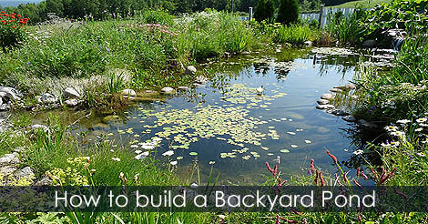 Garden Pond Building Guide - Landscaping Garden Pond - Backyard Pond designs ideas