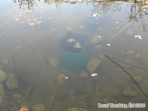 Water Garden De-icer Pump - Keeping your fish safe in winter - Winterize Pond