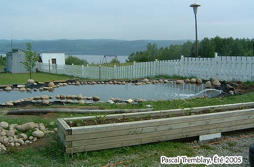 Backyard Pond Plan - How to build a Garden Pond - Buy Pond - Buy Preformed pond