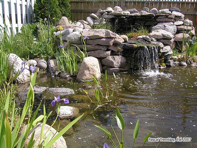 Pond Building Plan - Pond Clarifier - Pond Green Water - Pond Filter - Water Features - Waterfall filter