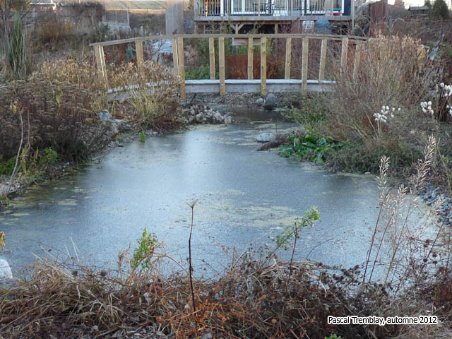 Allows Oxygen to re-enter the Pond - Winterizing Pond - Hw to deice water garden