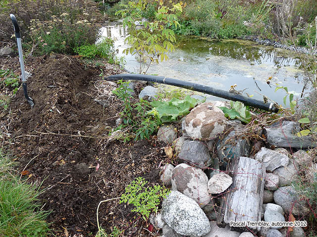 Installing Pond pumps and tubing - Build Pond - Winterizing Water Garden