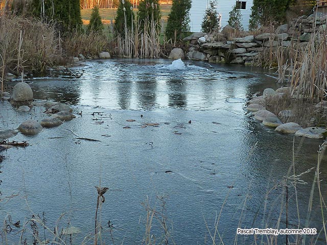 Pond Deicing - Ice on the Pond - Pond Heaters - Backyard Pond building