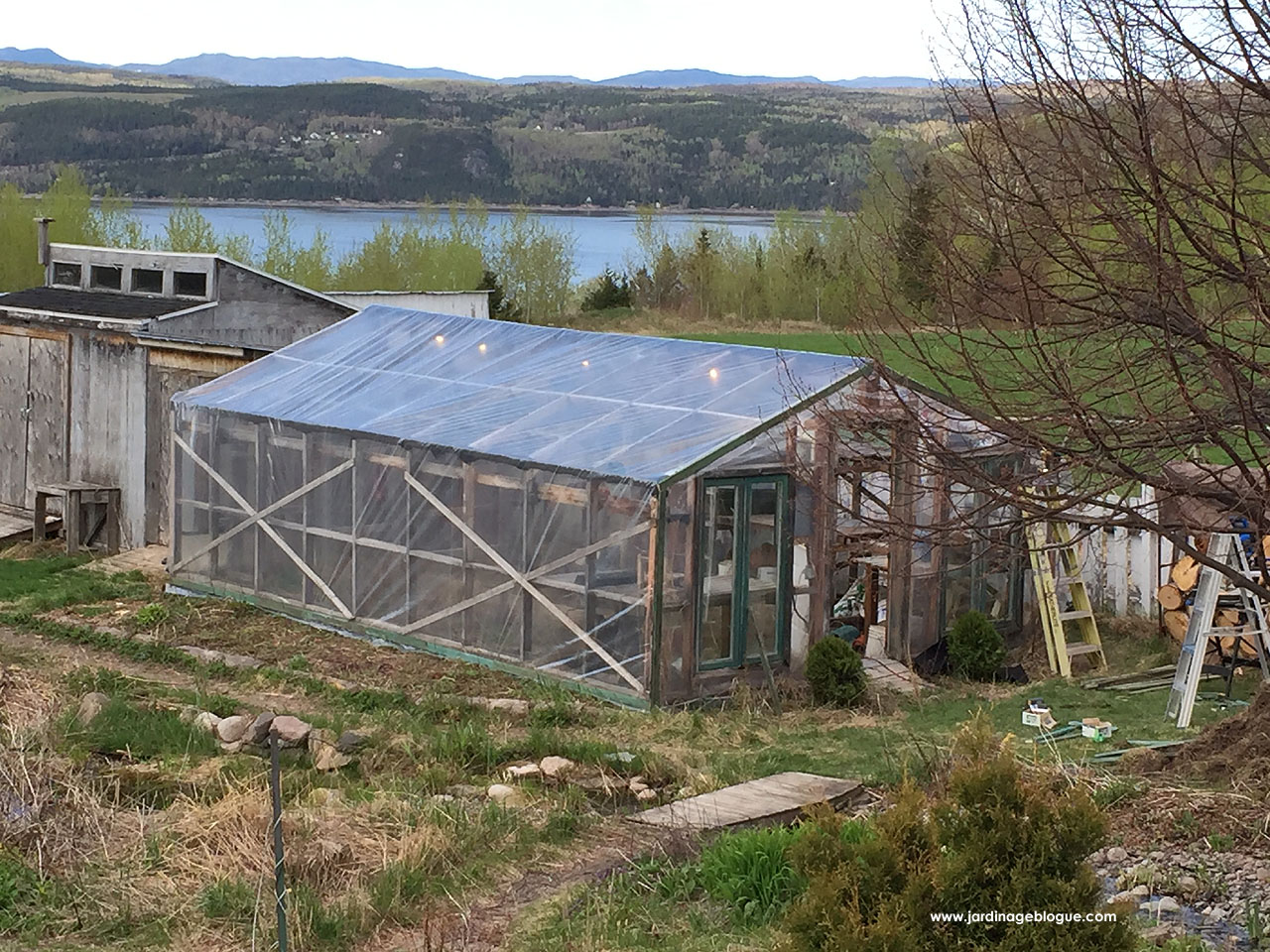 Best Plastic for a Greenhouse