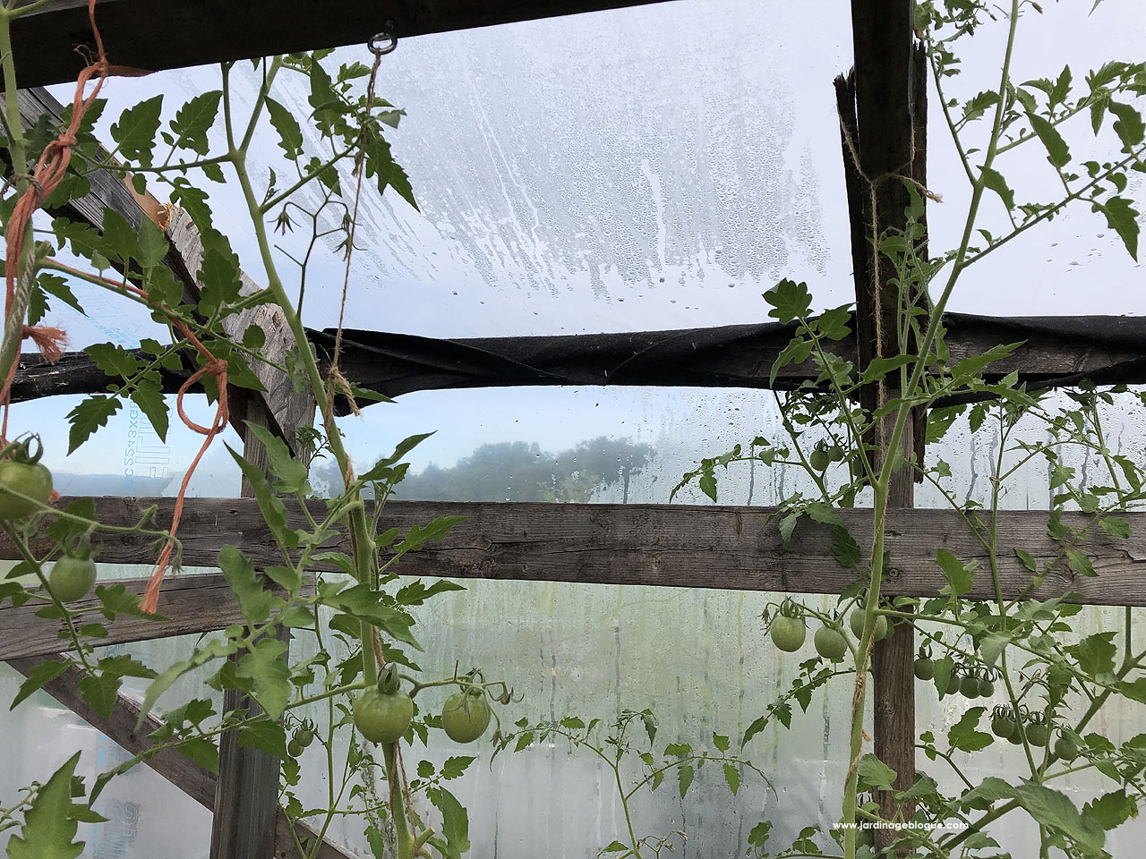 What is the best way to cover a greenhouse