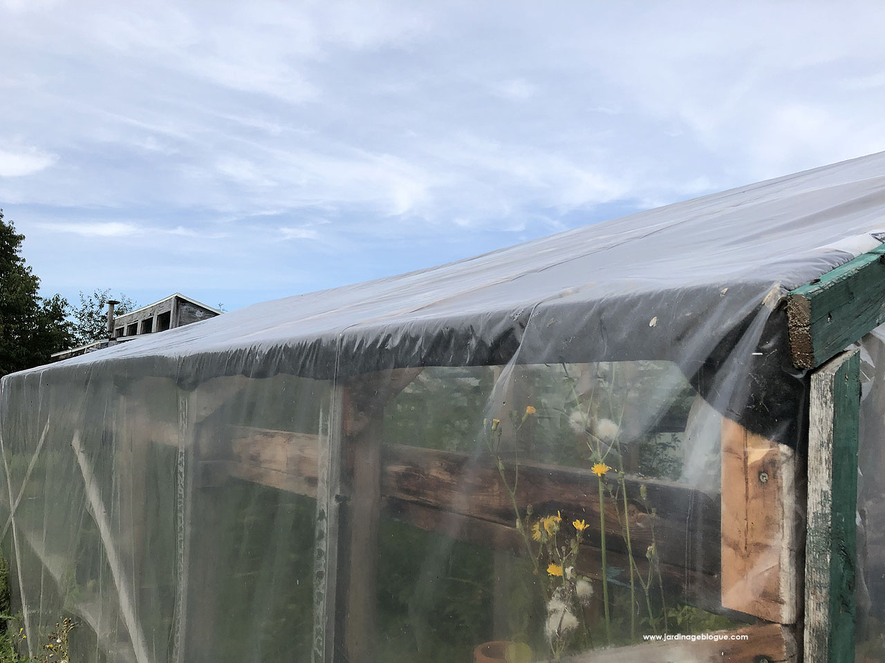 Protect greenhouse plastic cover from wood frame