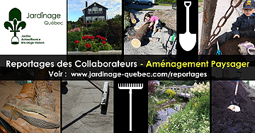 Aménagement paysager