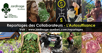 Autosuffisance et survivalisme