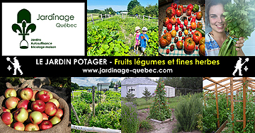Jardin potager