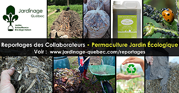 Jardinage écologique et Permaculture