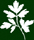 Potager Fines Herbes Légumes et Fruits