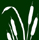 Jardinage Aquatique