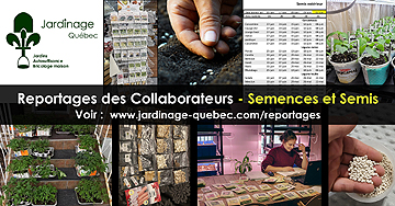 Semences et semis