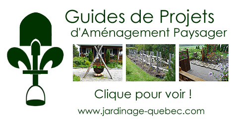 Aménagement paysager