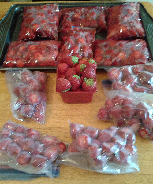 Conservation des fraises