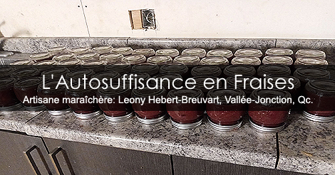 Fraises du Québec