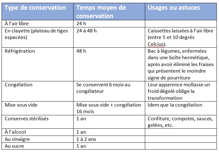 Conservation des fraises