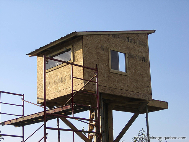 Construire une cabane dans les arbres