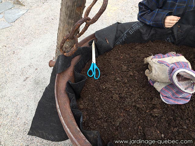 Dcorer un jardin avec un chaudron en fonte fleuri - DIY Chaudron jardinire en fleurs