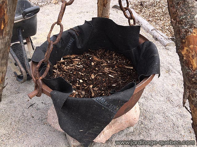 Utilisation d'un chaudron en fonte comme jardinire fleurie au jardin champtre
