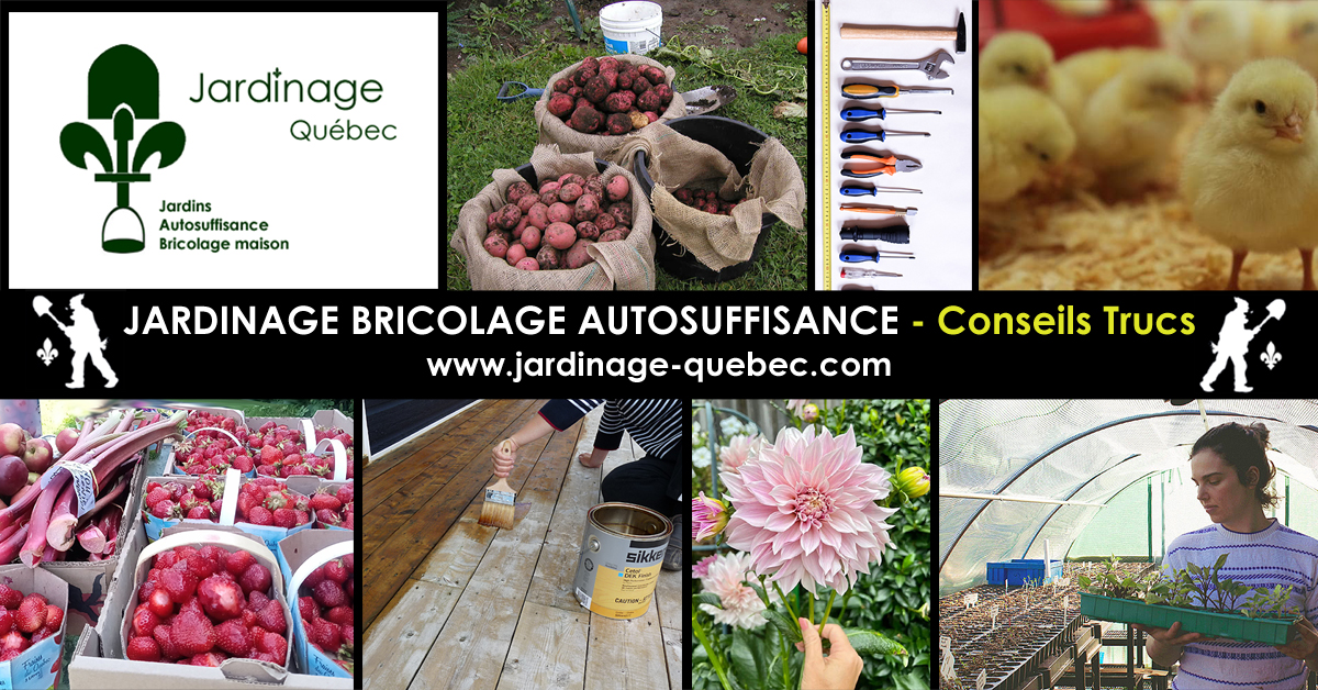 Horticulture Bricolage Autosuffisance