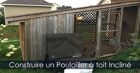 Construire une Poulailler adoss� - Plan Poulailler - Poulailler en ville - Comment construire un poulailler