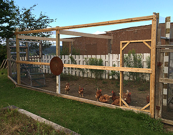 Construire une Volière pour Poulailler