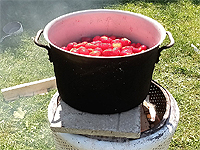 Bouillir les fraises