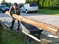 Transporter des rondins au jardin
