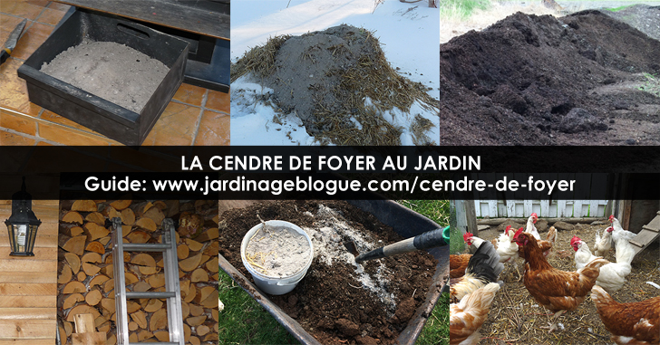 Cendre au jardin