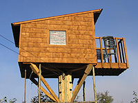 Cabane dans les arbres - Étapes de construction Plan